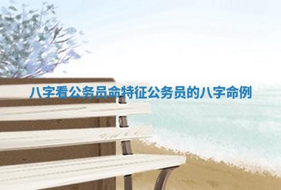八字看公务员命特征_公务员的八字命例