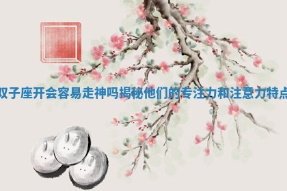 双子座开会容易走神吗揭秘他们的专注力和注意力特点