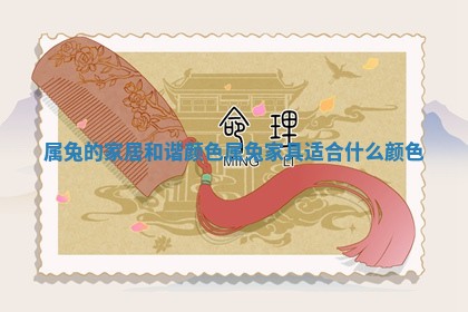 属兔的家居和谐颜色 属兔家具适合什么颜色