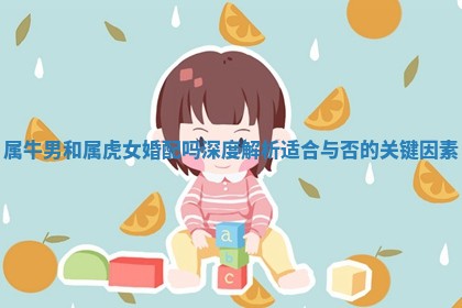 属牛男和属虎女婚配吗深度解析适合与否的关键因素