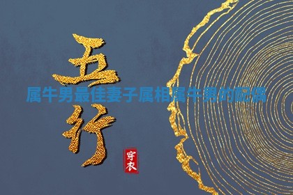 属牛男最佳妻子属相_属牛男的配偶
