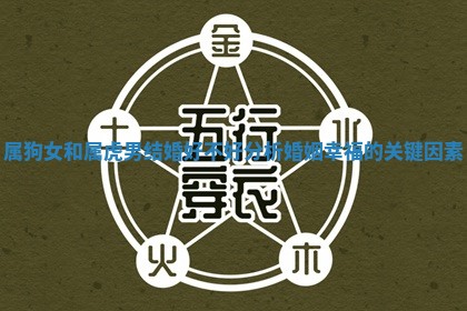 属狗女和属虎男结婚好不好分析婚姻幸福的关键因素