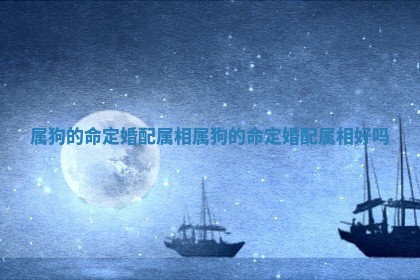 属狗的命定婚配属相_属狗的命定婚配属相好吗