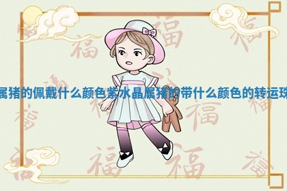 属猪的佩戴什么颜色紫水晶_属猪的带什么颜色的转运珠