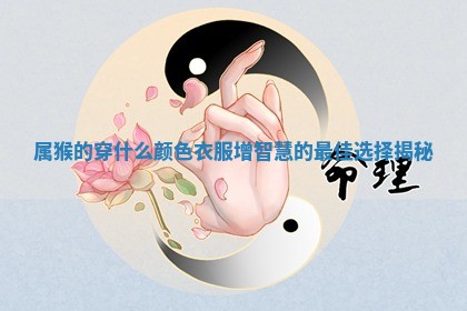 属猴的穿什么颜色衣服增智慧的最佳选择揭秘