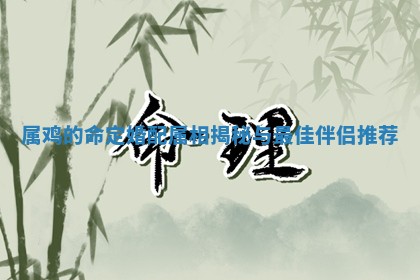 属鸡的命定婚配属相揭秘与最佳伴侣推荐