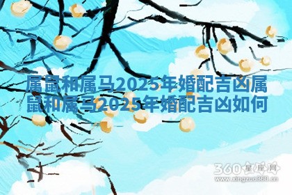 属鼠和属马2025年婚配吉凶 属鼠和属马2025年婚配吉凶如何
