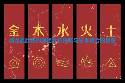 属龙最欣赏的属相分析揭晓与生肖相合的秘密