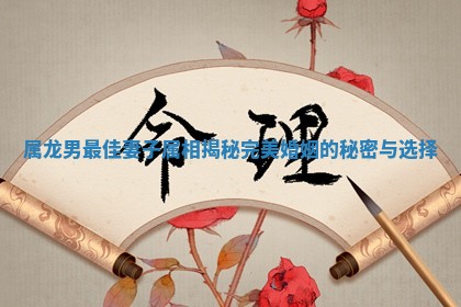 属龙男最佳妻子属相揭秘完美婚姻的秘密与选择
