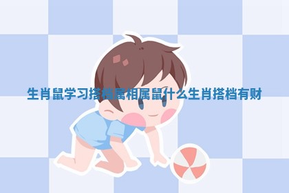 生肖鼠学习 