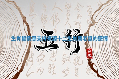 生肖鼠情感支持来源_十二生肖属老鼠的感情